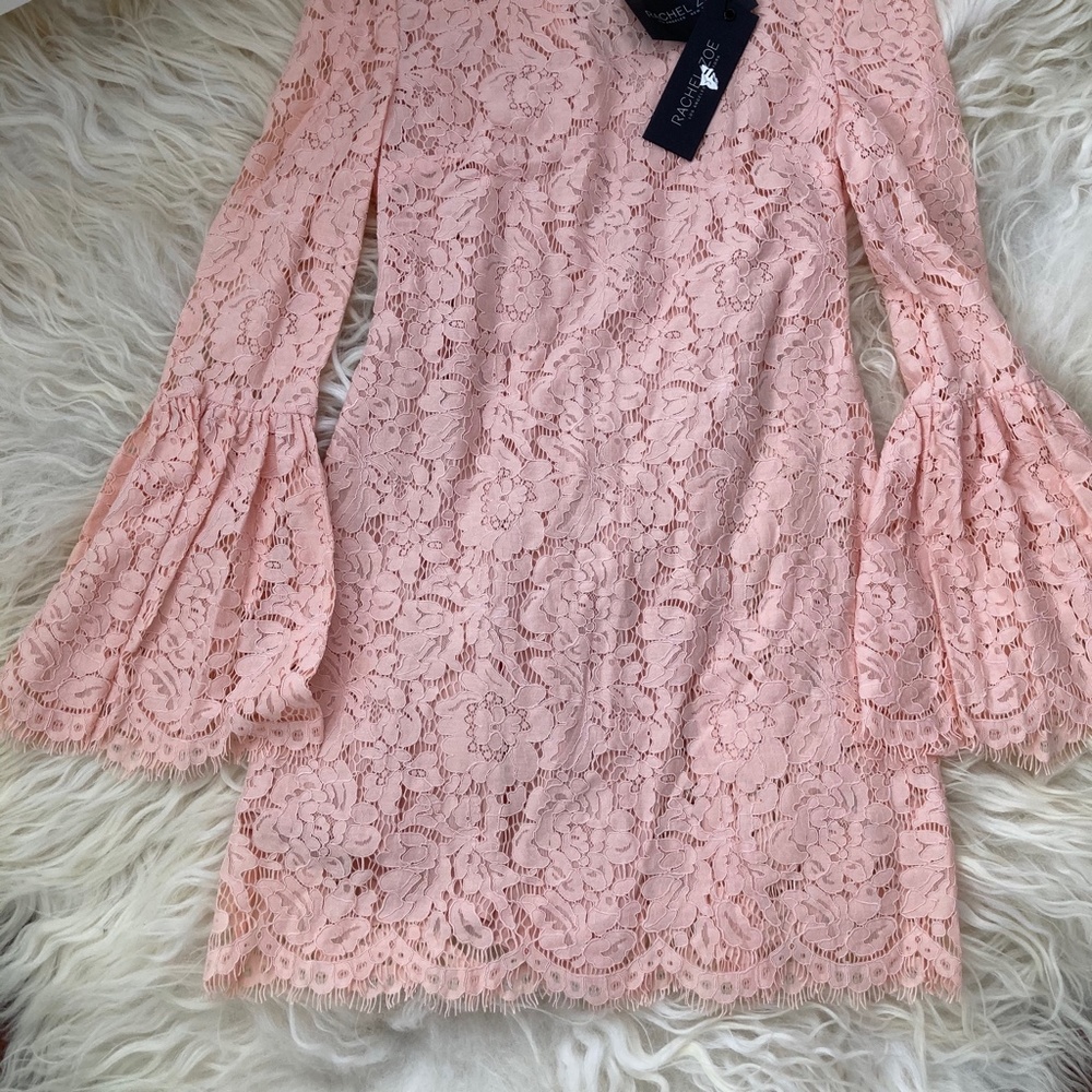 RACHEL ZOE Lace Pattern Mini Dress - Picture 7 of 15
